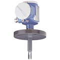 Vibronic Point level detection Liquiphant FTL51C