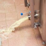 Wastewater treatment in the food industry